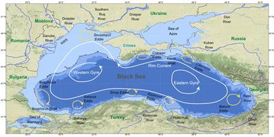 Transport and accumulation of floating marine litter in the Black Sea: insights from numerical modeling